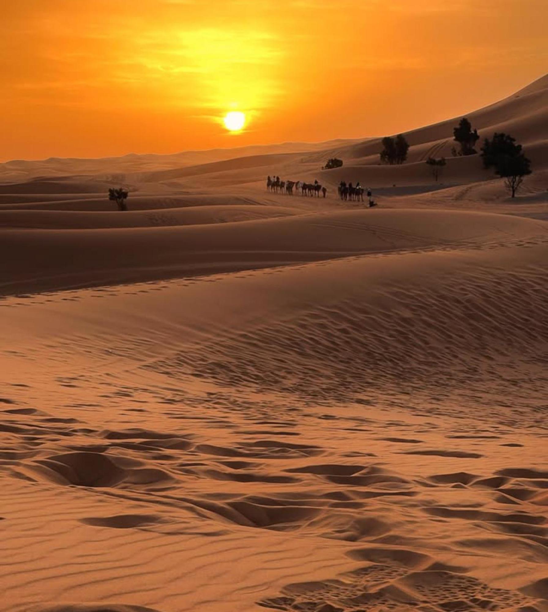 Merzouga Desert Campsite &Activities Ngoại thất bức ảnh